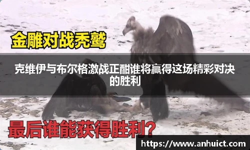 克维伊与布尔格激战正酣谁将赢得这场精彩对决的胜利