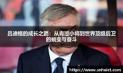 金年会